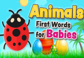 Animals vocabulary - First words for babies and toddlers in English