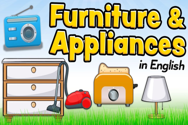 Furniture and appliances in English