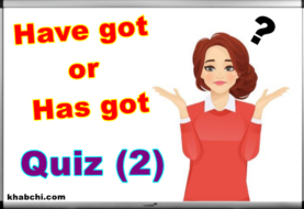 Have Got or Has Got ! - Quiz (2)