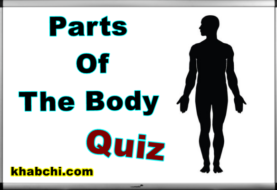 Parts of The Body - Quiz
