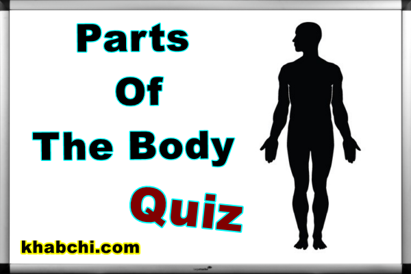 Parts of The Body – Quiz
